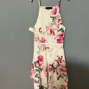 Trixxi Pink and Green Floral Dress